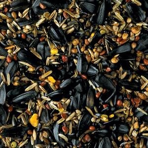 Gold Finch Food 900g