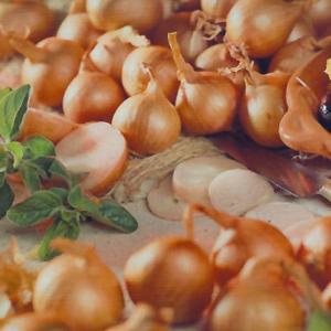 Red Sun Shallot - 50 Sets