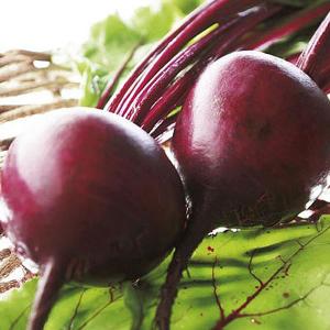 Beetroot Boltardy - 250 Seeds