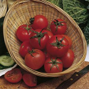 Tomato OP Tamina - 95 Seeds