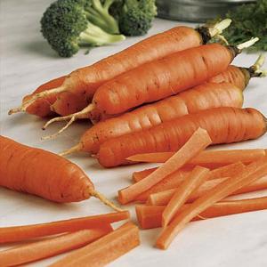 Carrot Early Nantes 5 - 1100 Seeds