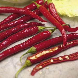 Chilli de Cayenne - 65 Seeds