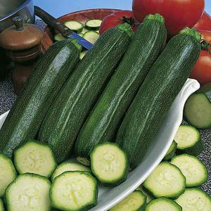 Courgette Defender F1 - 20 Seeds