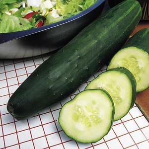 Cucumber Marketmore - 25 Seeds