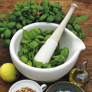 Herbs Basil Sweet - 600 Seeds