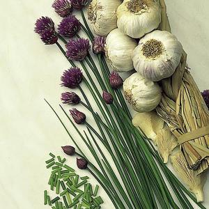 Herbs Chives - 700 Seeds
