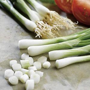 Spring Onion White Lisbon - 550 Seeds