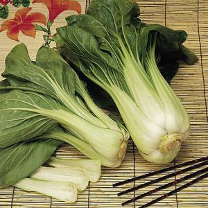 Chinese Pak Choi - 200 Seeds
