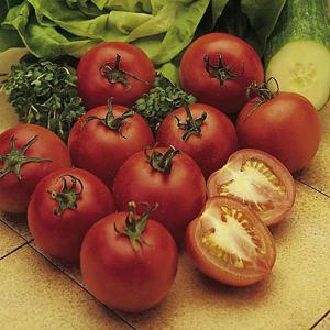 Tomato Alicante - 60 Seeds