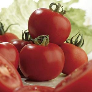 Tomato Ailsa Craig - 75 Seeds