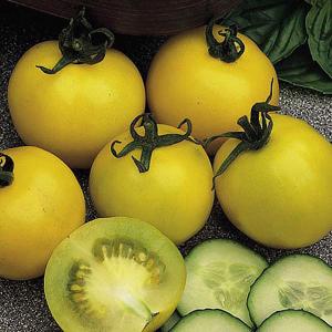 Tomato Golden Sunrise - 75 Seeds