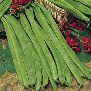 Runner Bean Best of All - 45 Seeds