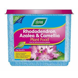 Rhododendron, Azalea & Camellia Slow Release Granules - 2kg