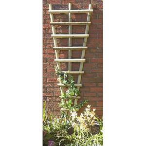 Hopton Fan Trellis 6' x 2'