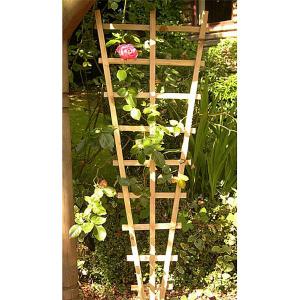 Malvern Fan Trellis 6' x 2'