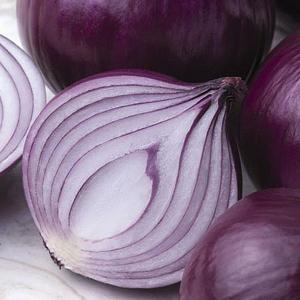 Onion Kamal F1 - 220 Seeds