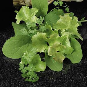 Speedy Veg Leaf Salad Mix (French) - 1000 Seeds
