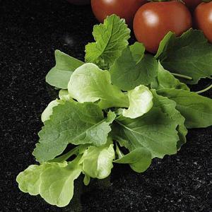 Speedy Veg Leaf Salad Mix (Italian) - 900 Seeds