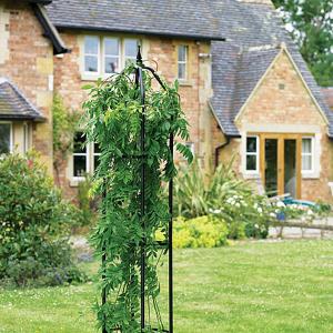 Garden Obelisk Superior 2m x 40cm