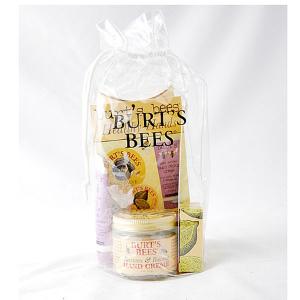 Burt's Bees Hand Repair Kit