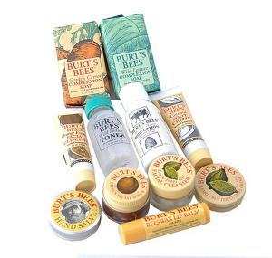 Burt's Bees Head to Toe Starter Kit