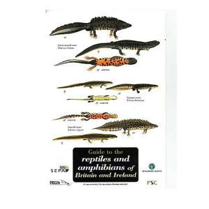 Field Guide to Reptiles & Amphibians
