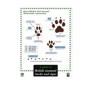 Field Guide to British Mammal Trails