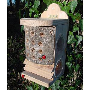 Ladybird/Lacewing Log
