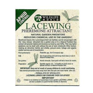 Lacewing Attractant