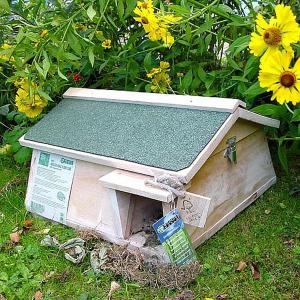 Hedgehog Habitat