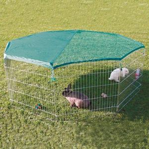 Rabbit Run