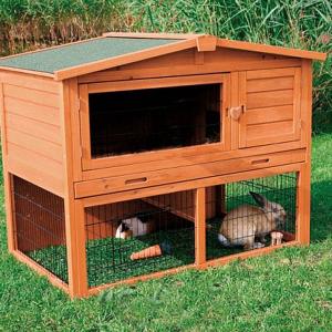 Rabbit Hutch
