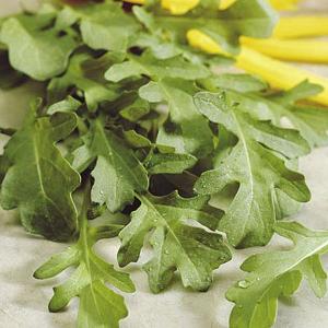 Herbs Rocket - 900 Seeds