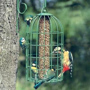 Original Squirrel Proof Nut Feeder - Green