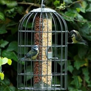 2-in-1 Squirrel Proof Nut & Seed Feeder - Extra Large