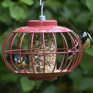 Chinese Lantern Seed Feeder