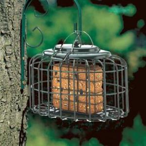 Oval Squirrel Proof Suet Feeder - Green