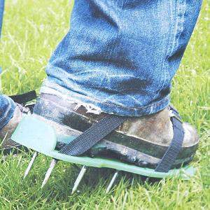 Aerating Shoes