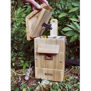 Nest Box with Colour Camera