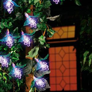 20 Lilac LED Grape Lights