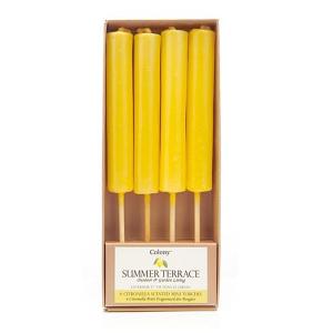Mini Citronella Garden Torches - 4 Pack