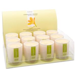 Wax Filled Conservatory Candle - Small