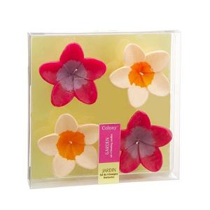 Set of 4 Floating Candles - Flower Motif