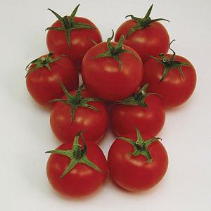 The Italian Tomato Collection