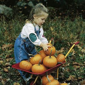 Eden Project The Easy Grow Baby Pumpkin - 8 Seeds