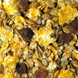Song Thrush Food 900g