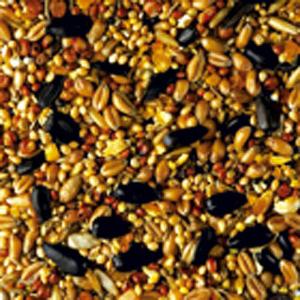 Sparrow Food 1.1kg