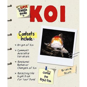 Koi Super Simple Guide