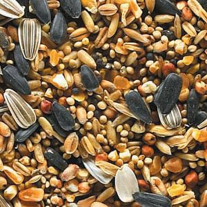 Garden Bird Seed Mix - 15L
