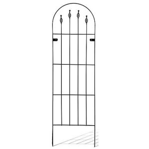 Jasmine trellis